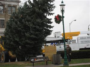 Christmas tree for Sanford's Central Park